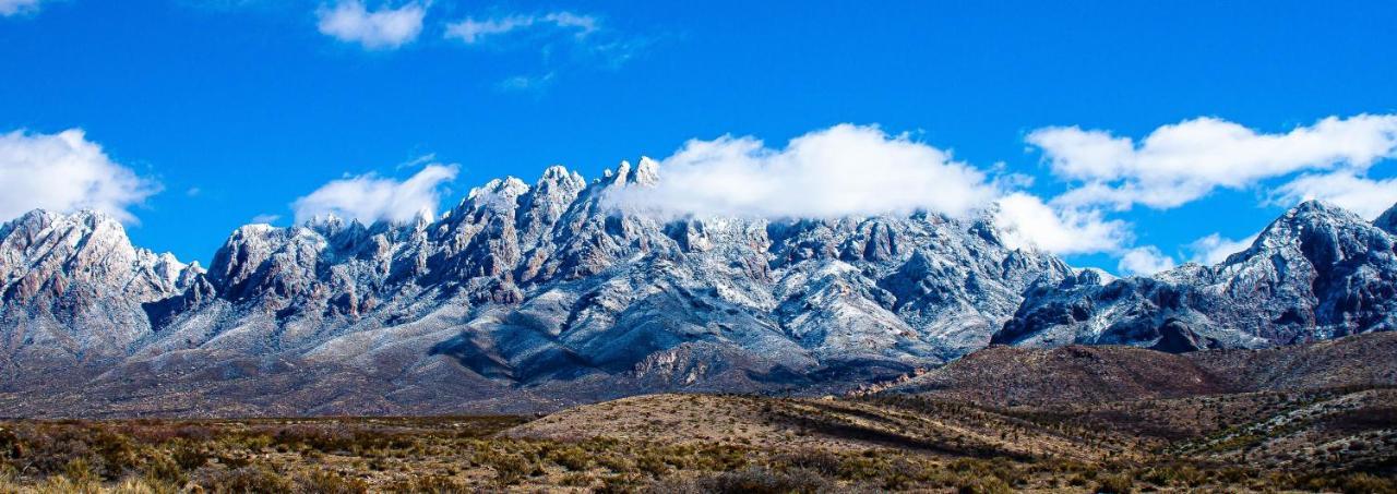 The Perfect Place . . . Here It Is! Las Cruces Exterior foto