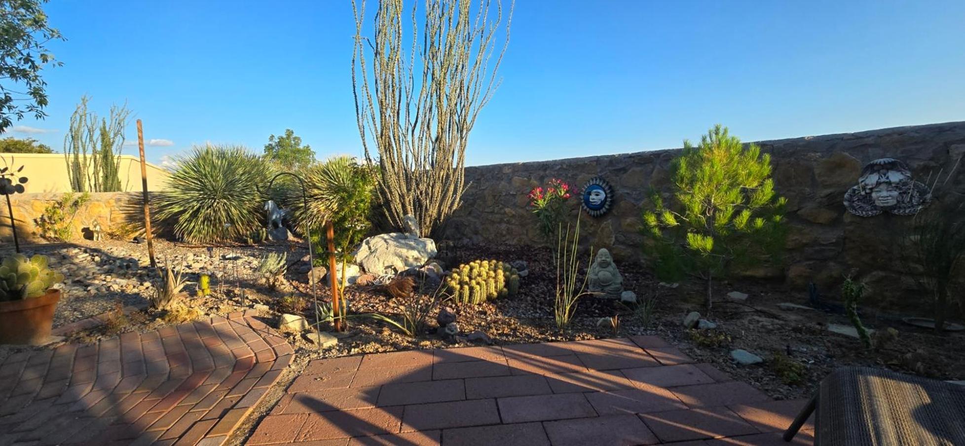 The Perfect Place . . . Here It Is! Las Cruces Exterior foto